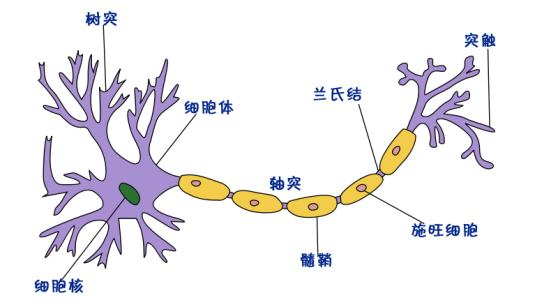 图片31.png